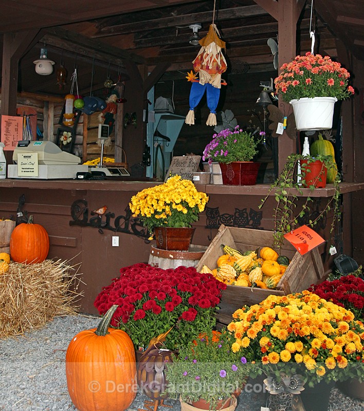Country Market Autumnal Display - Autumn Festival