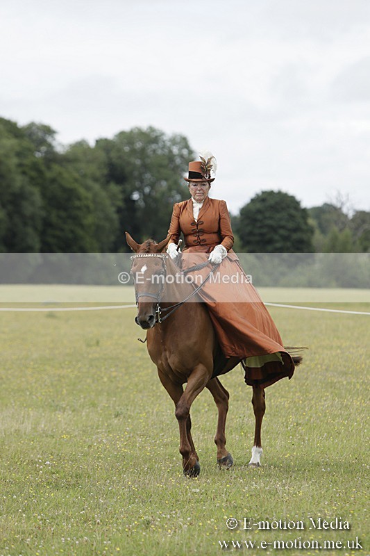 BVR160717-2447 - Side Saddle Classes 16/07/17