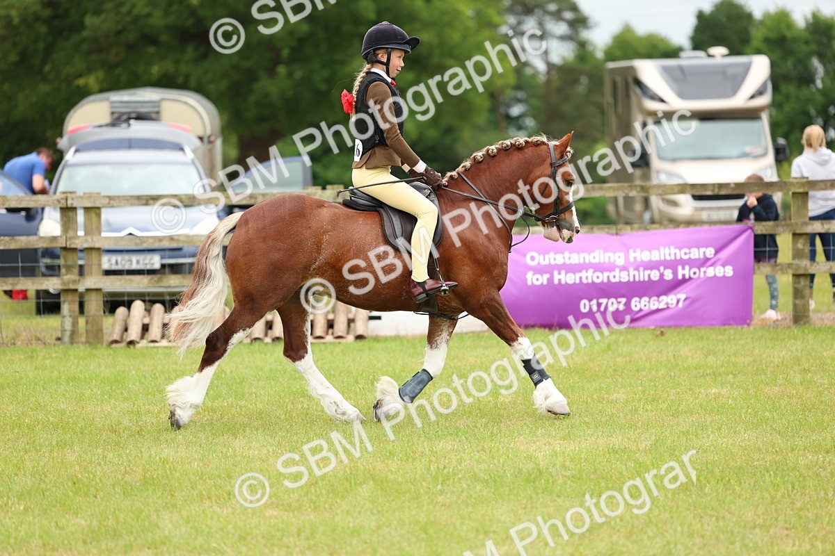 SBM_10360 - Class 44-45 - LIHS BSPS Open Nursery and Cradle Stakes