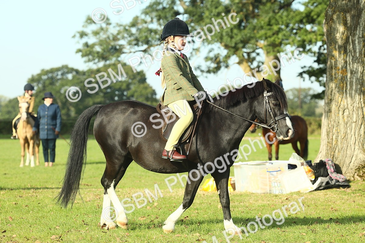 SBM_59219 - S38 - Starters Ridden Showing