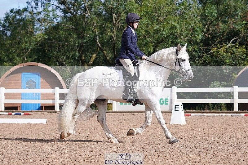 240809A-093136-00257 - Dressage Competition