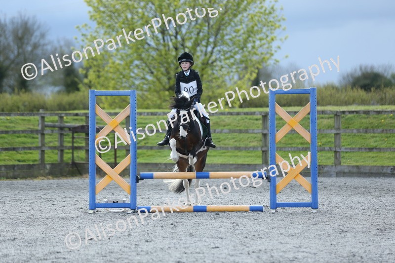 20260412-1822 - Show Jumping