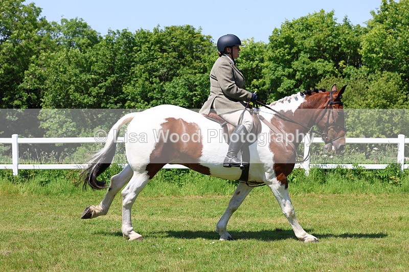 3E7A7199 - Class 30: Novice Working Hunter