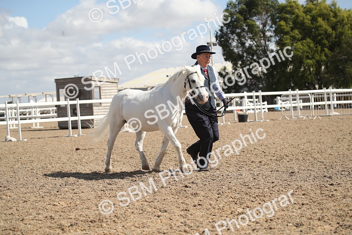 SBM_23539 - Class 605 - 2026 - Area - IH Veteran