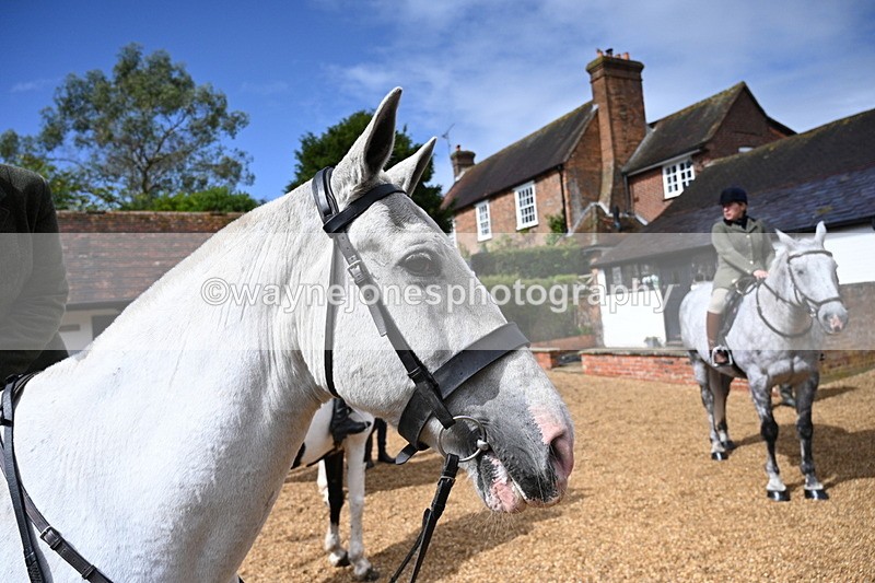 WJ7_7022 - Berks & Bucks at Blandy’s Farm 31-08-25