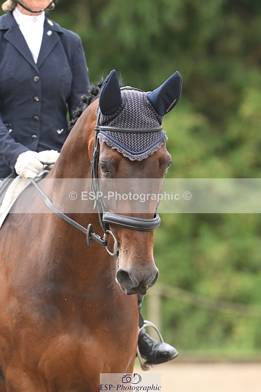 250720A-104819-09706 - 007-Gwen.Knight-Barnabus