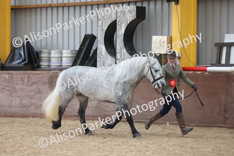 20251109-1120 - Championship