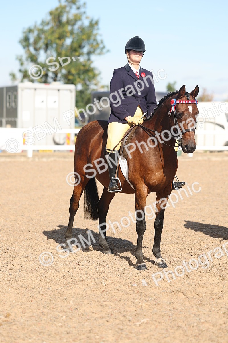 SBM_12365 - Class 304 - Ridden part Bred Horse Pony