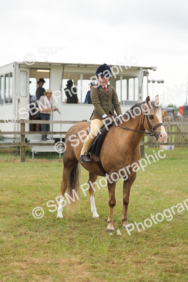SBM_06892 - Class 74-75 - M&M Lead Rein and First Ridden Pony