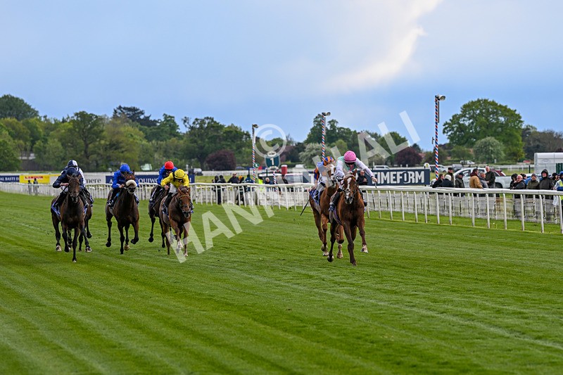 140526-Race 5-Item-5533 - Race 5 4.05pm Al Basti Equiworld Dubai Dante Stakes