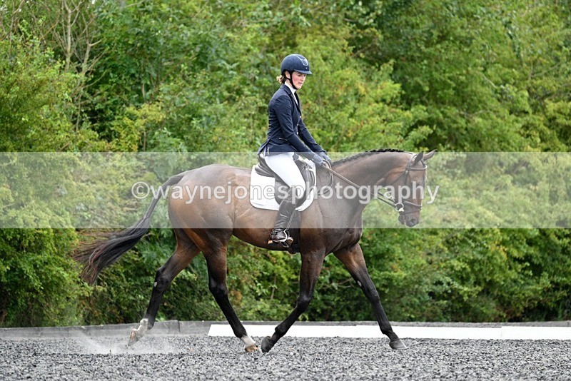 WJ7_0290 - Edited examples