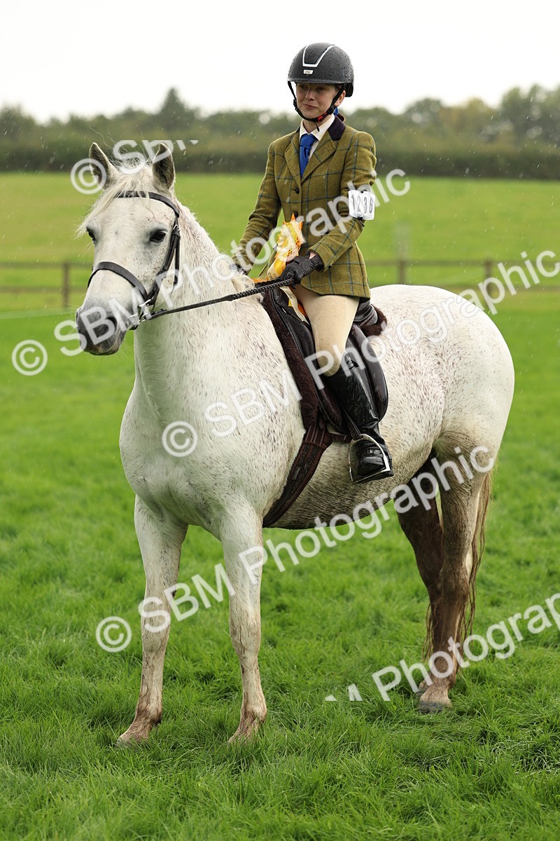 1I0A1527 - S32 - Mountain & Moorland Working Hunter Pony