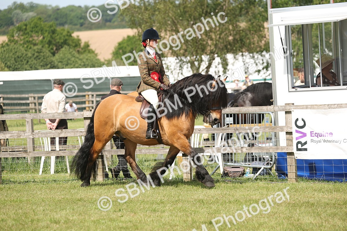 SBM_07668 - Class 26-30 - Mountain and Moorland Ridden