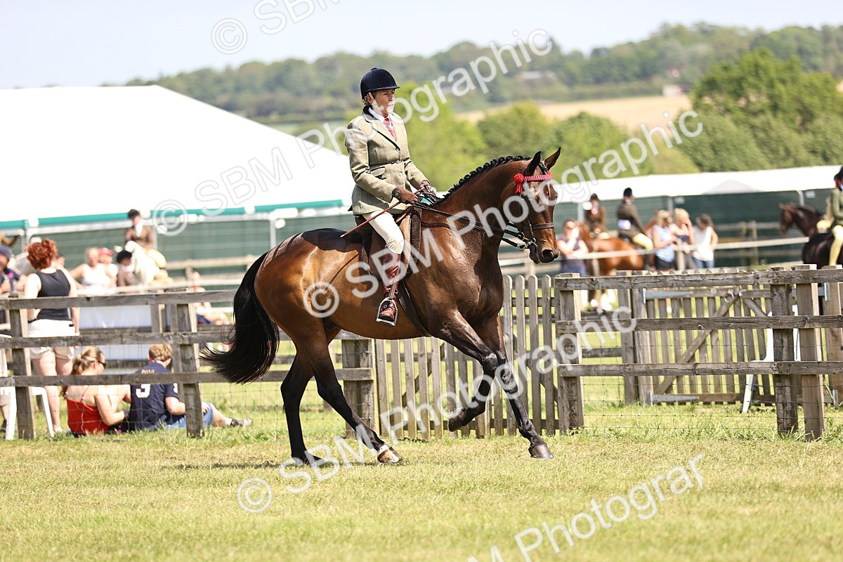 SBM_14856 - Class 78 - LIHS BSHA Open Racehorse & Show Horse