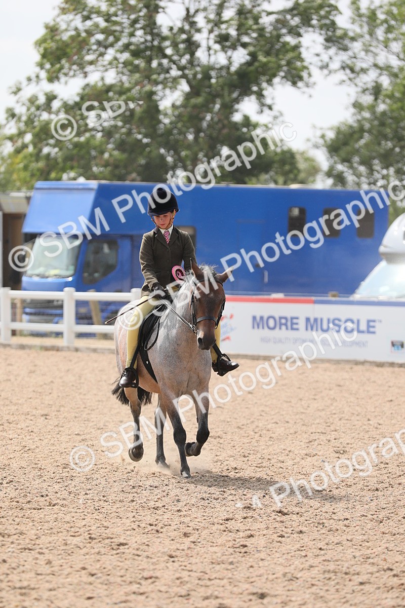 SBM_15638 - Class 311 Ridden Show Pony/ Show Hunter Pony