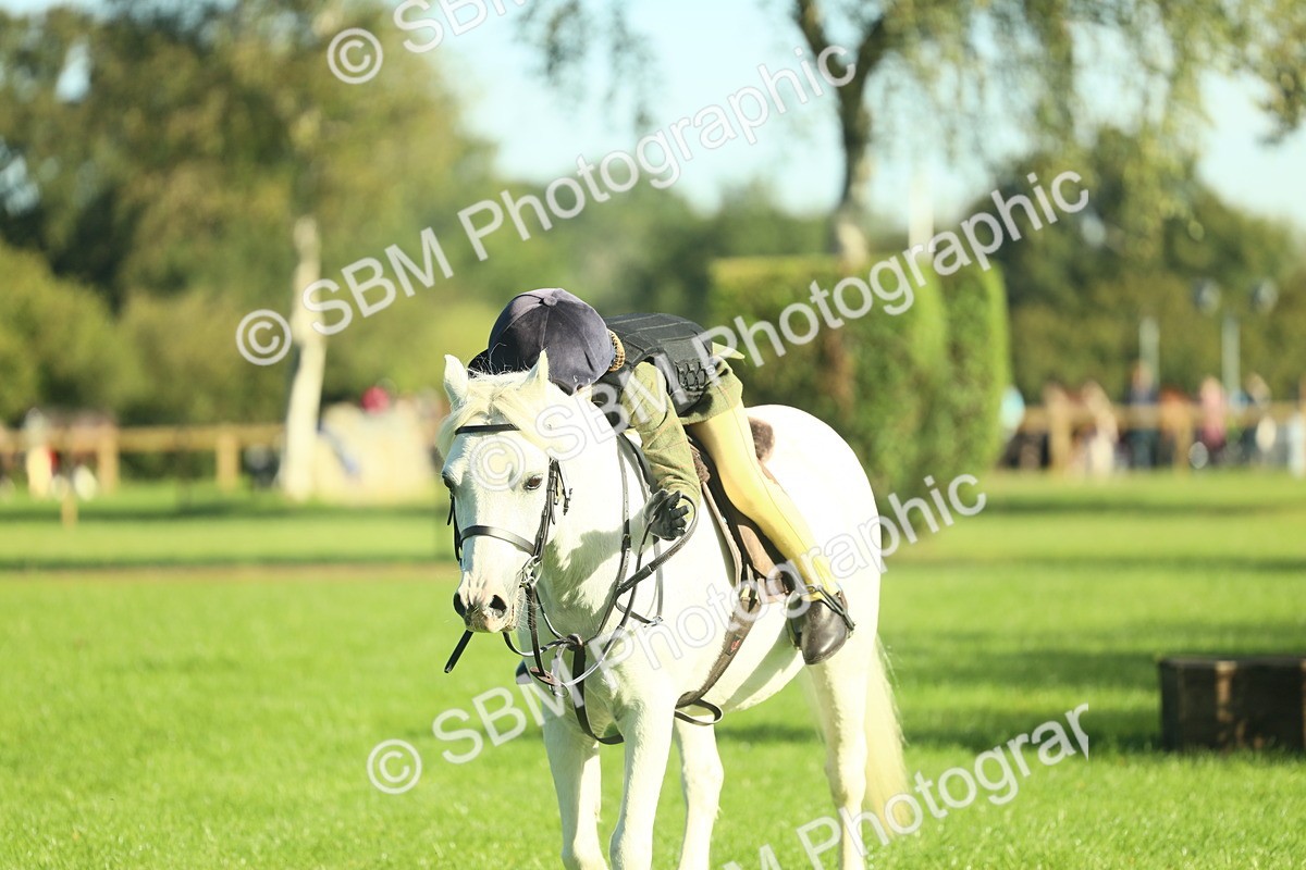SBM_36395 - S29 - Novice & Newcomers Working Hunter Pony