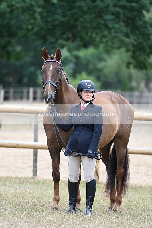WJ7_9835 - Class 5a Most Handsome Gelding (above 14.2hh)
