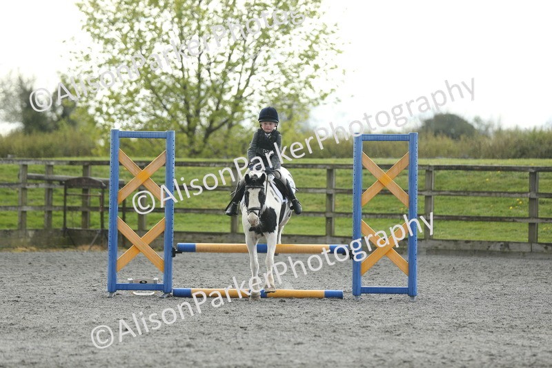 20260412-1956 - Show Jumping