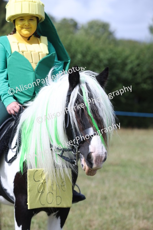 20250831-3556 - Class 26 - Fancy Dress