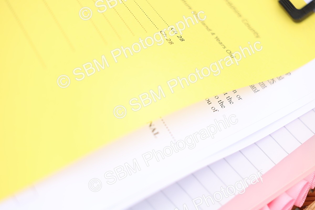 SBM_03490 - Class 58-67 - M&M Non Welsh Pony In hand