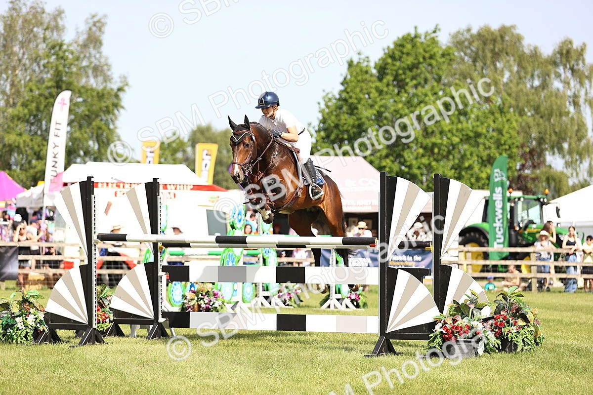 SBM_03024 - Class 201 - British Horse Feedds Speedi Beet HOYS Grade C