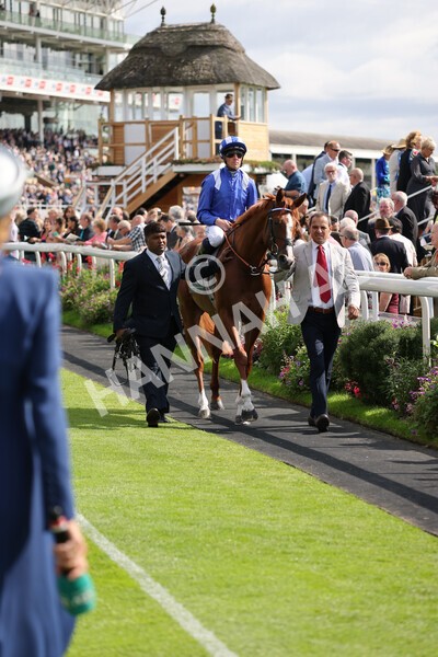 yr18082021r4-51 - Race 4 3.35pm Juddmonte International Stakes (British Champion Series race)