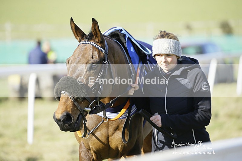 PtP 260222 305 - Kingston Blount Racing Club Point-to-Point 26/02/22