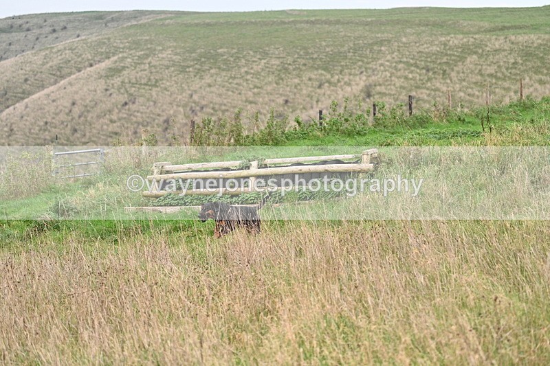 WJ7_9859 - Camera 1 & Last fence