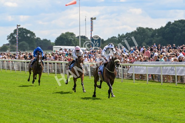140625-Race 3-Al Qareem-2462 - Race 3 3.00pm Sky Bet Race To The Ebor Grand Cup Stakes