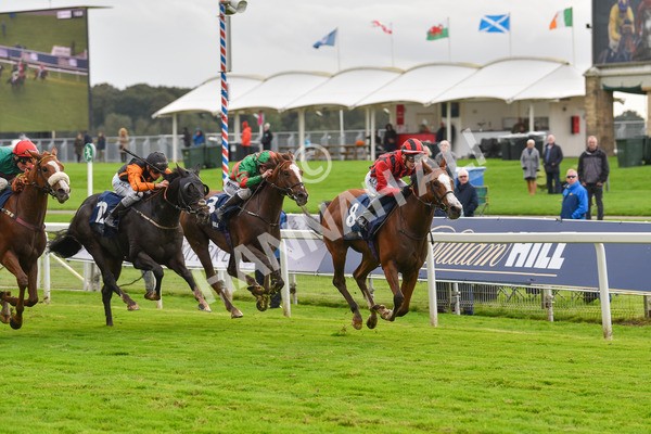 131023-Race 4-Hafeet Alain-9526 - Race 4 3.50pm William Hill Autumn Mile Handicap