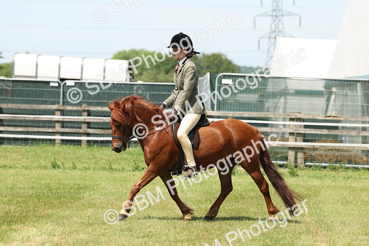 SBM_06838 - Class 26-30 - Mountain and Moorland Ridden