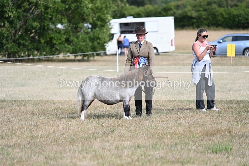 WJ7_8187 - In-hand Championship
