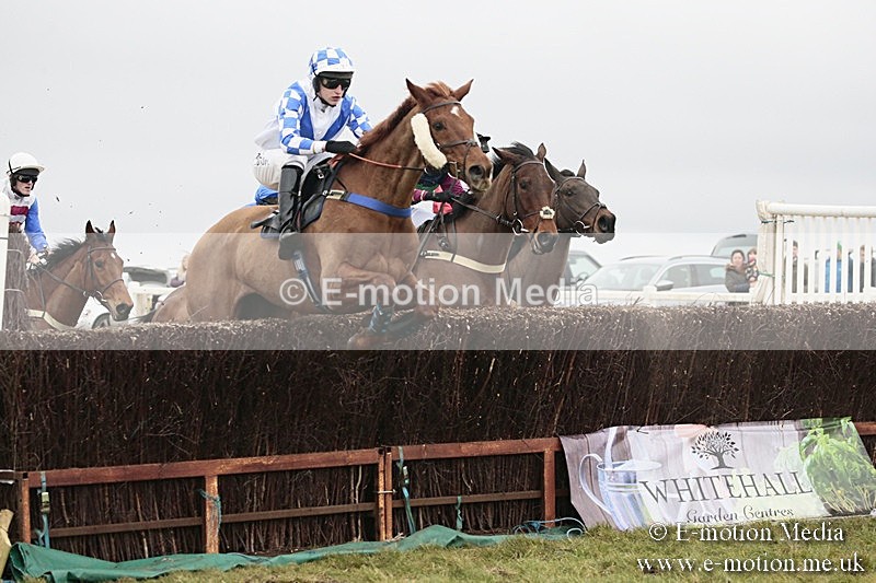 PtP 180218 374 - Combined Services Point-to-Point Larkhill 18/02/18