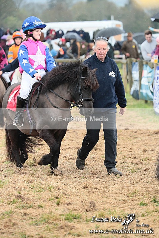 SHETPR 210425 67 - Shetland Ponies Paxford Races 21/04/25
