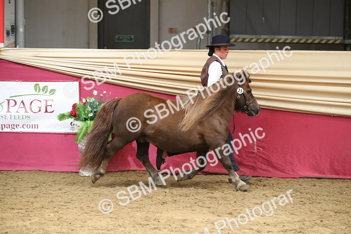 SBM_05463 - Class 8R - Regional IH Veteran