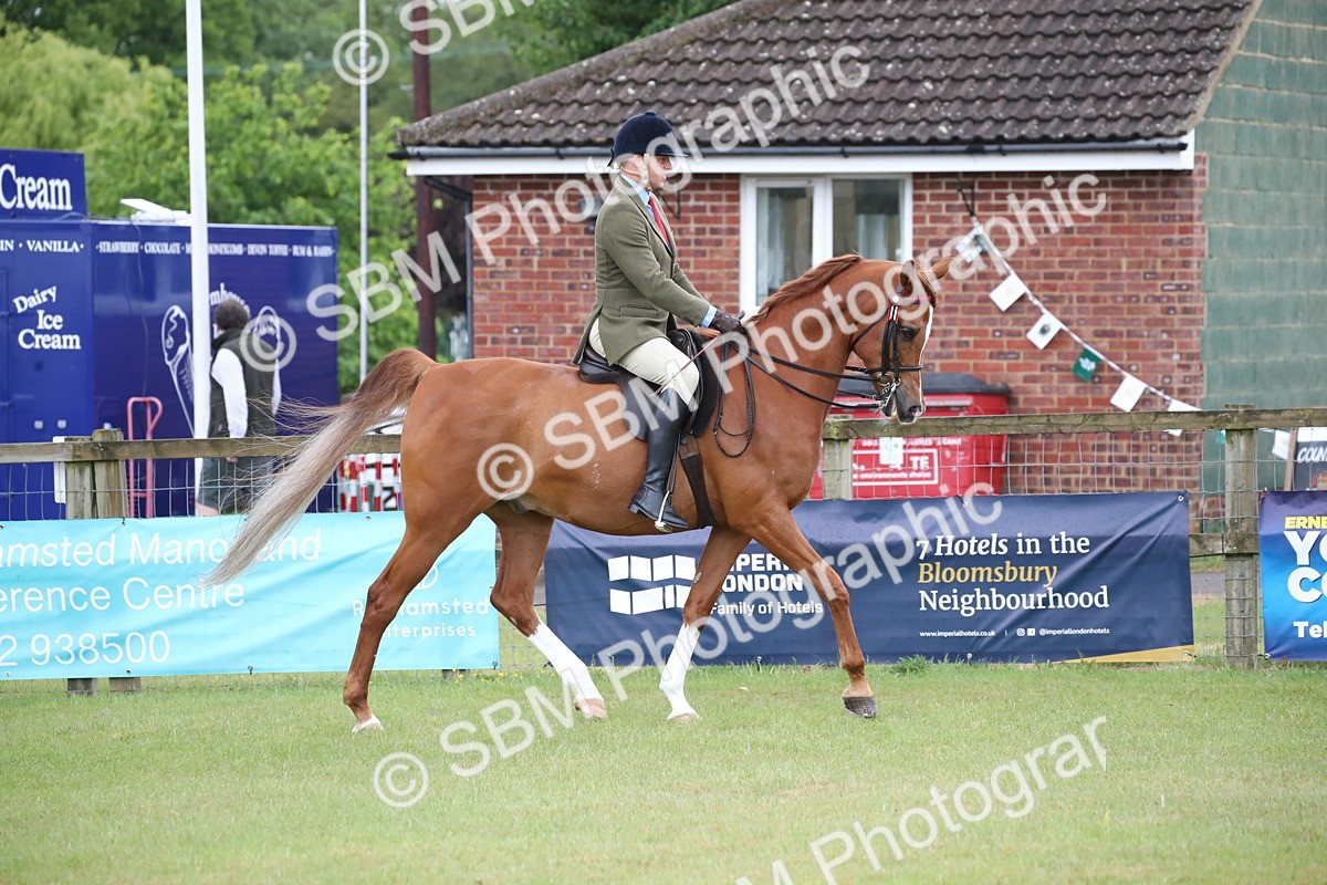 SBM_03601 - Class 21 - 22 - Ridden Arab and Part Bred/Anglo Arab