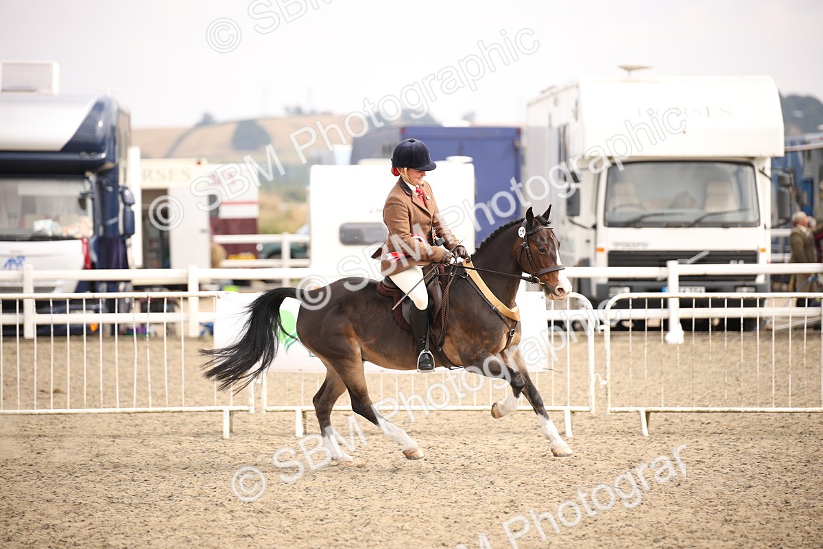 SBM_16112 - Class 408b - Working Veteran 70cm (20+)