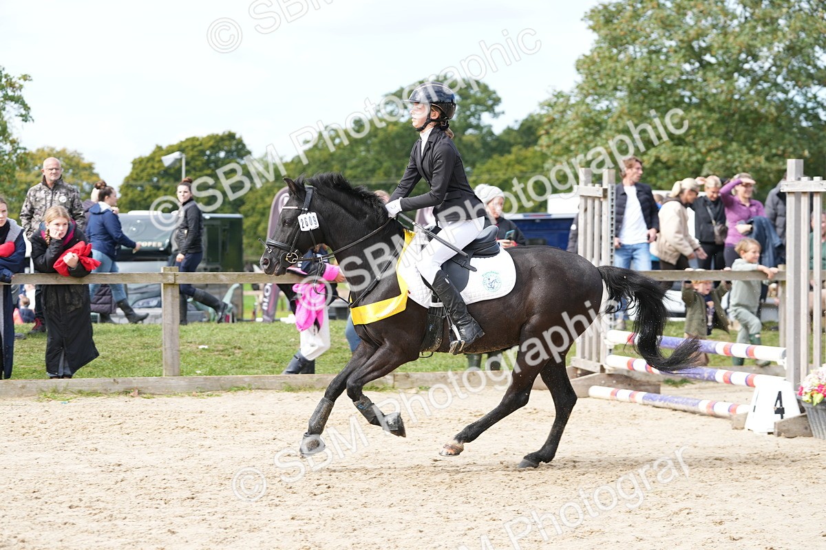 SBM_40102 - J6 - Junior Pony 55cm Championship