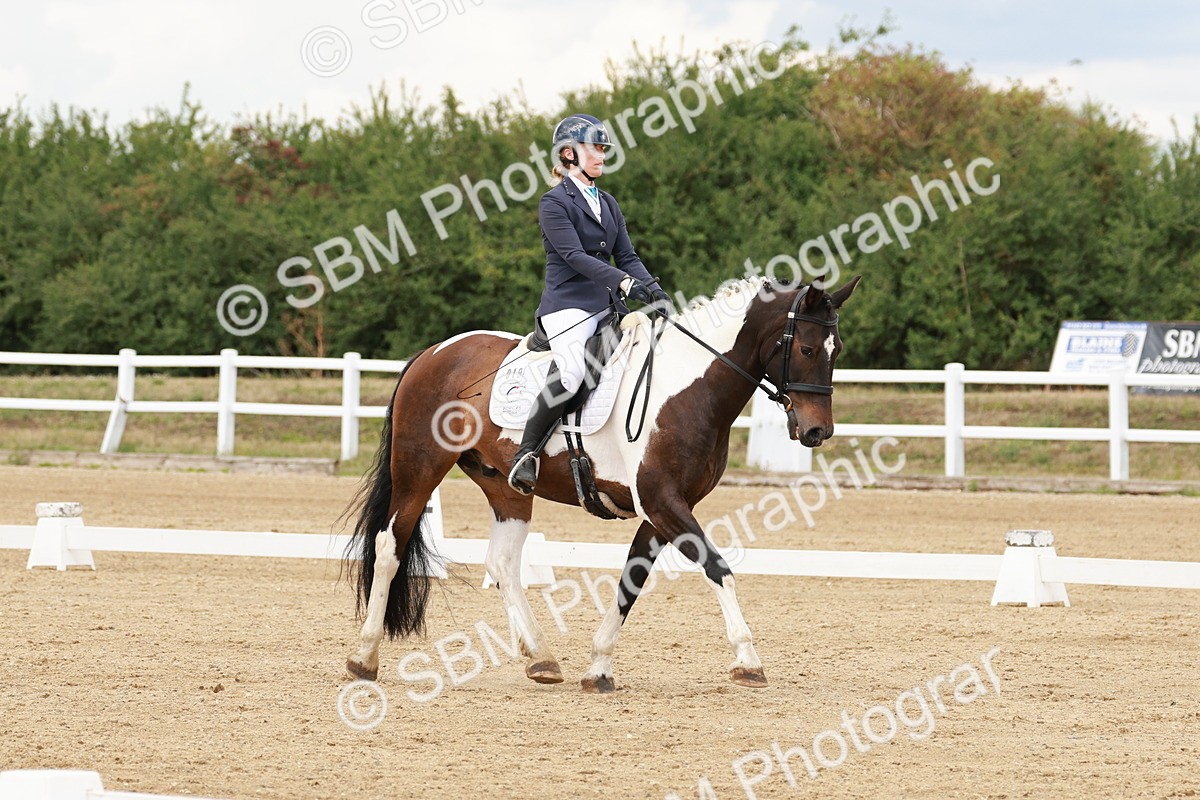 SBM_001810 - Class 8 - Elementary 6