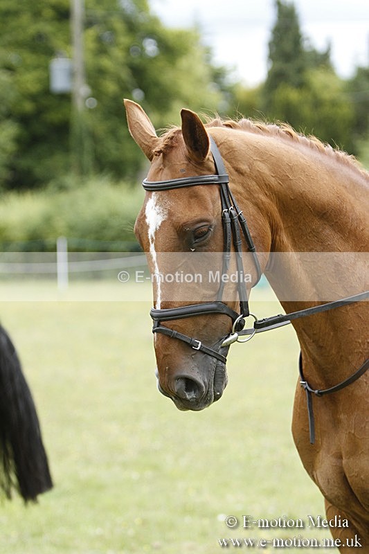 BVR160717-2251 - Ring 3 BVRC Show 16/07/17