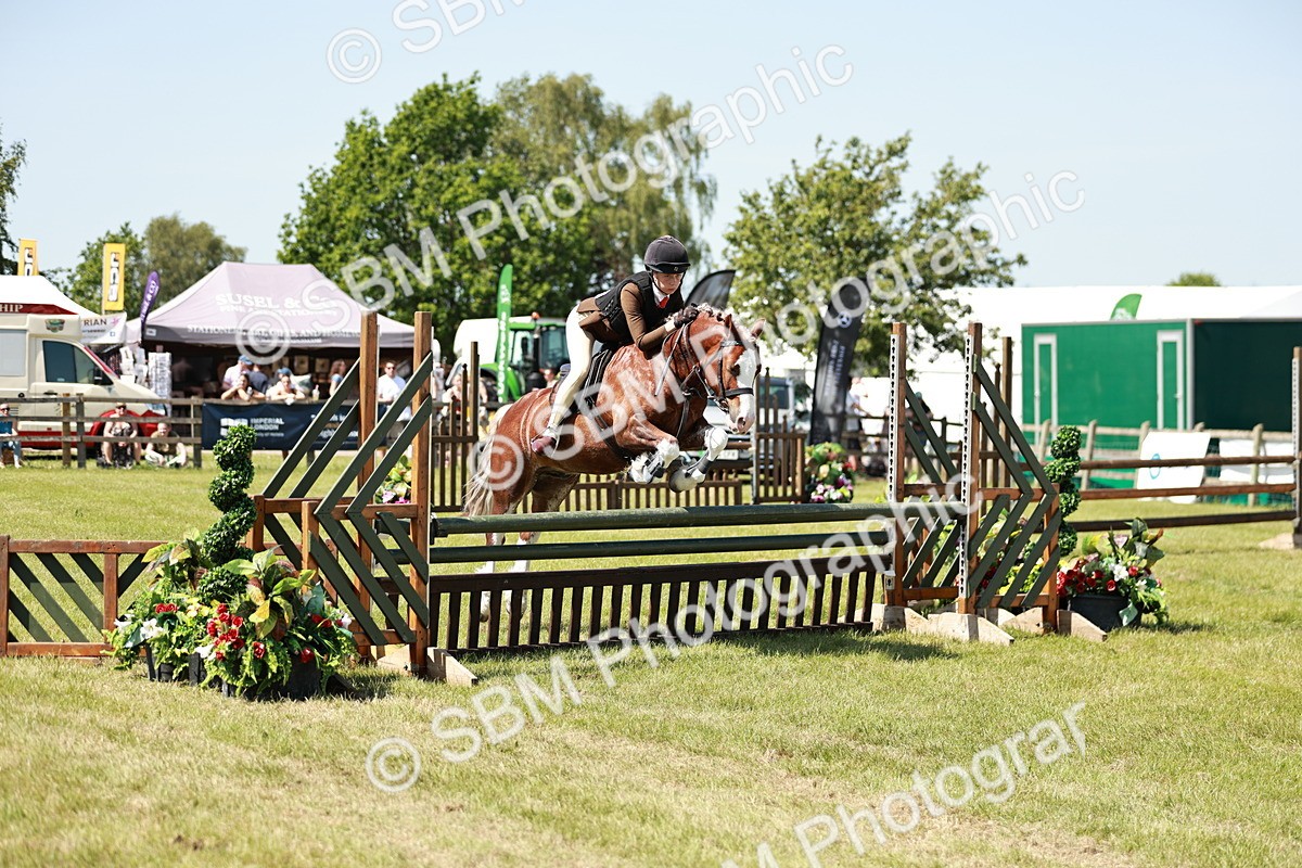 SBM_17615 - Class 112-113 - BSPS LIHS Working Sports Pony