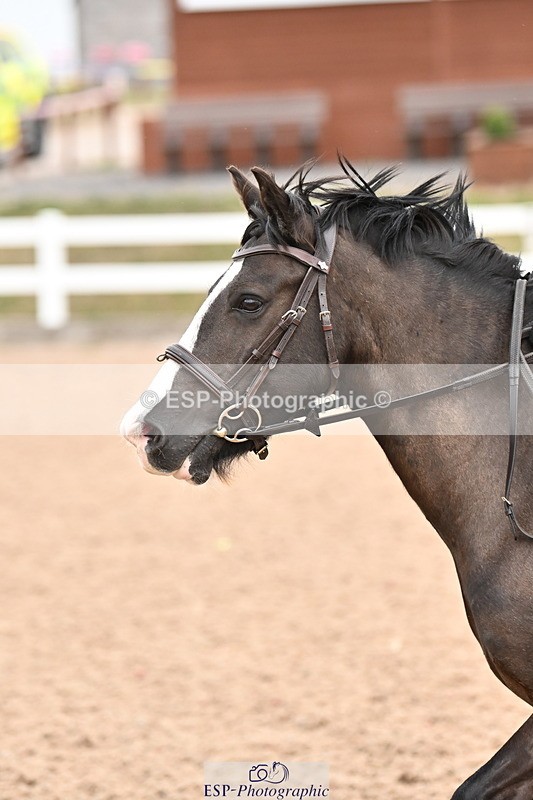 250819B-144139-00061 - Clear Round