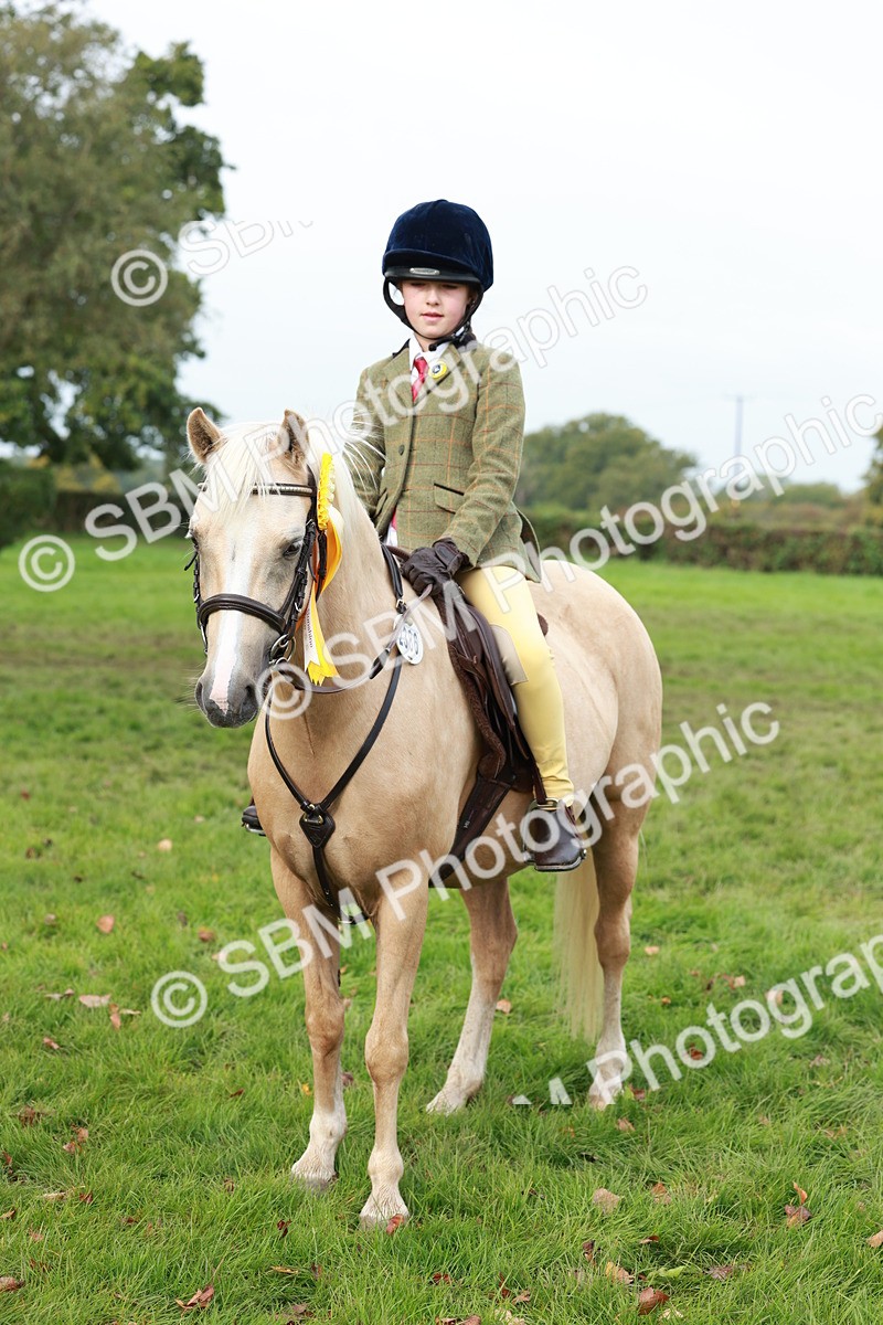 SBM_56502 - S39 - Starters In Hand Showing