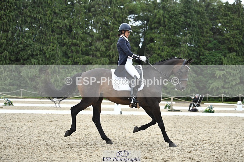 230812-143117-04717 - Cls 7 FEI PSG Bronze