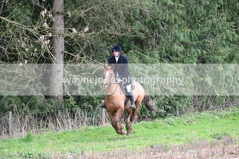 WJ6_9487 - Line Four