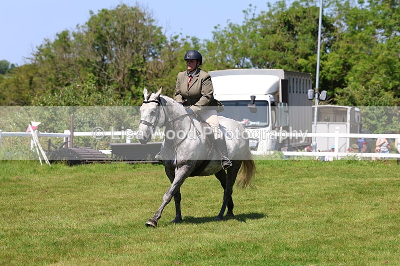 3E7A8383 - Class 13: Ridden Hunter