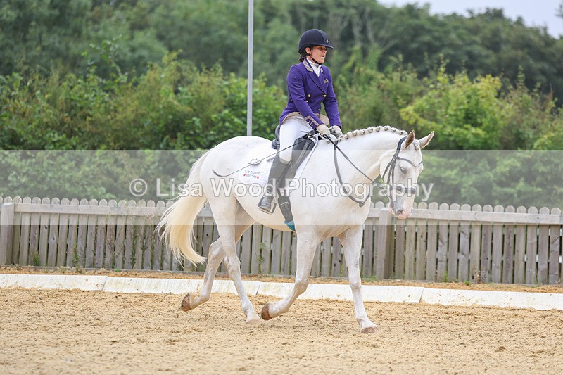 3E7A5332 - Class 2: Intro 4 2024 section B