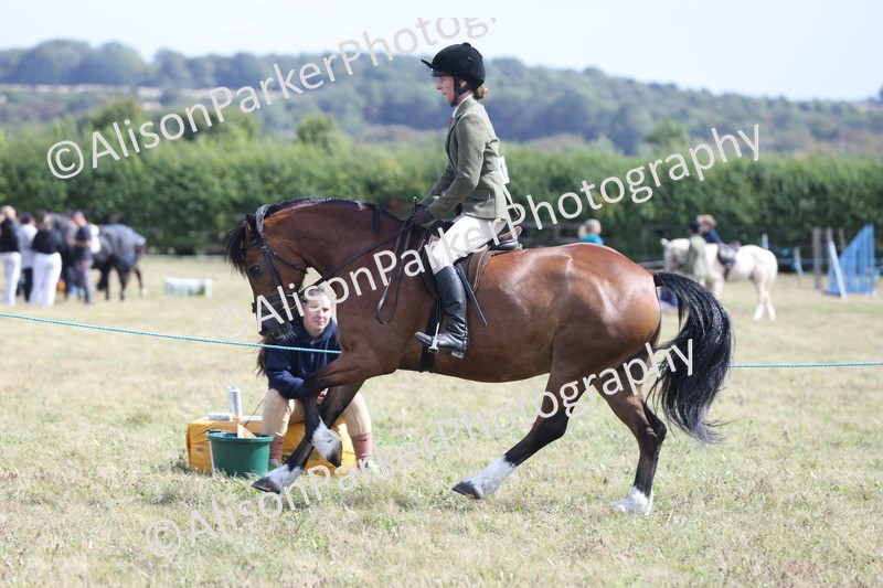 20250831-2972 - Class 19 - Mountain and Moorland