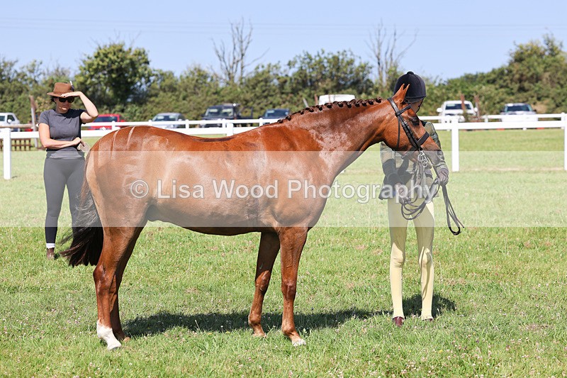IMG_2032 - Class 34: Show Hunter Pony 153cm and under