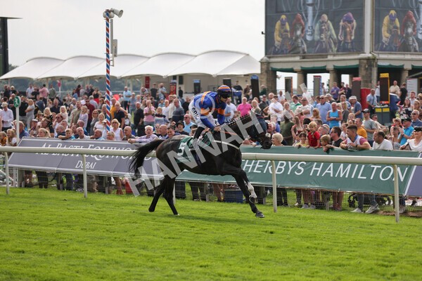 yr20082021r2-42 - Race 2 2.25pm Weatherbys Hamilton Lonsdale Cup (British Champion Series race)
